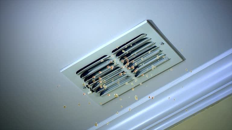 Best Residential Air Duct Cleaning  in Itasca, IL
